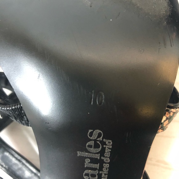 Charles by Charles David Sand Snake Gladiator 10 - Picture 7 of 9